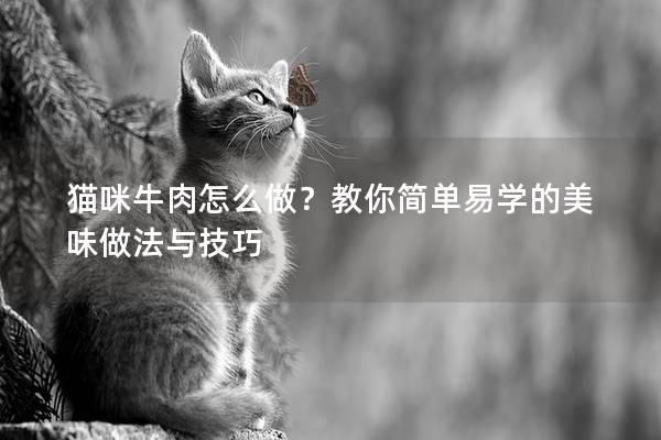 貓咪牛肉怎么做？教你簡(jiǎn)單易學(xué)的美味做法與技巧