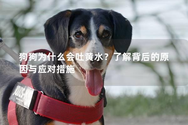 狗狗為什么會吐黃水？了解背后的原因與應對措施