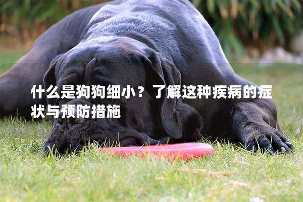 什么是狗狗細??？了解這種疾病的癥狀與預防措施