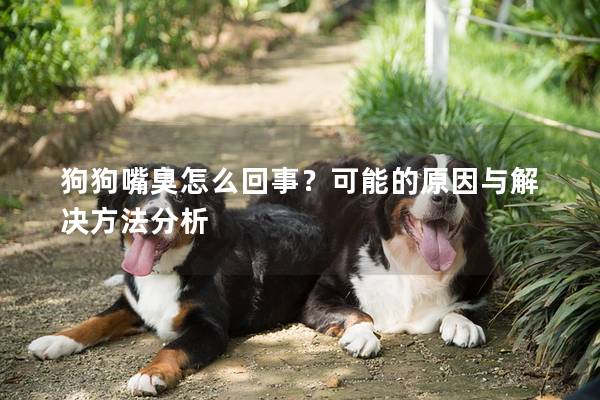 狗狗嘴臭怎么回事？可能的原因與解決方法分析