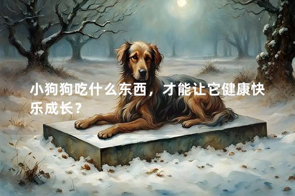 小狗狗吃什么東西，才能讓它健康快樂成長？