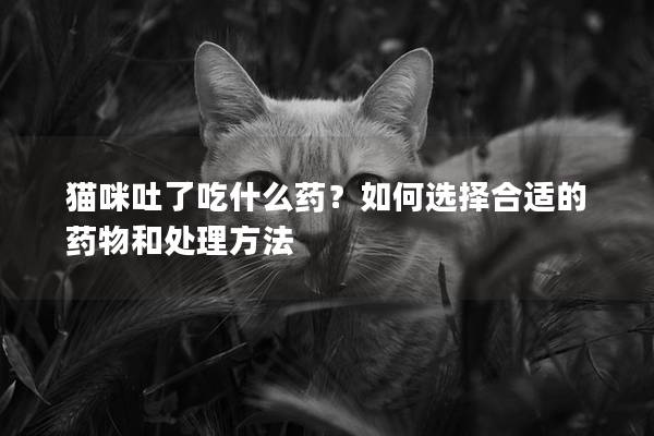 貓咪吐了吃什么藥？如何選擇合適的藥物和處理方法