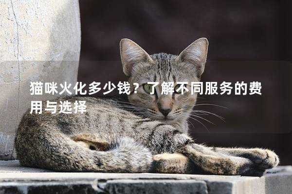 貓咪火化多少錢?了解不同服務的費用與選擇 貓咪火化多少錢?了解不同服務的費用與選擇