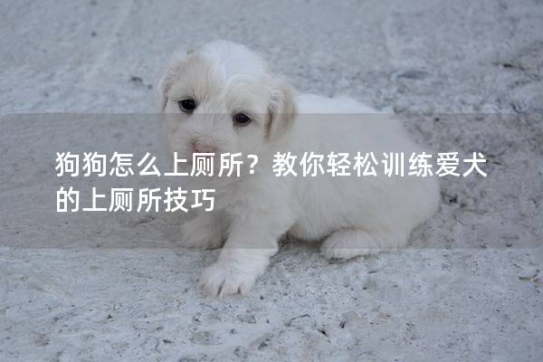 狗狗怎么上廁所?教你輕松訓練愛犬的上廁所技巧 狗狗怎么上廁所?教你輕松訓練愛犬的上廁所技巧