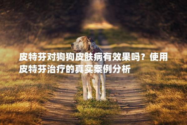 皮特芬對(duì)狗狗皮膚病有效果嗎？使用皮特芬治療的真實(shí)案例分析