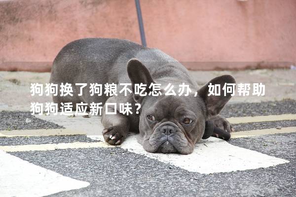 狗狗換了狗糧不吃怎么辦，如何幫助狗狗適應新口味？