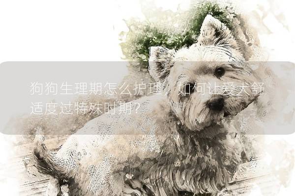狗狗生理期怎么護理，如何讓愛犬舒適度過特殊時期？