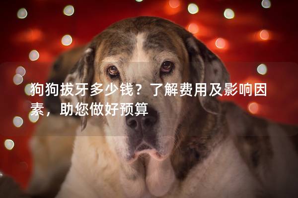狗狗拔牙多少錢？了解費用及影響因素，助您做好預算