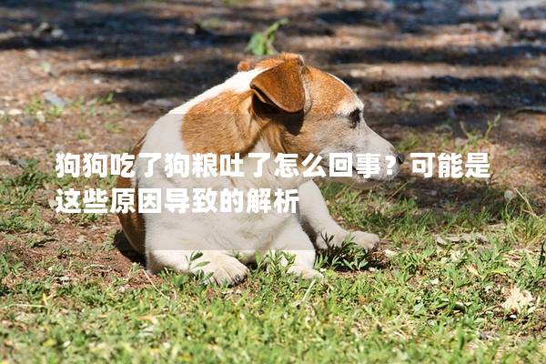 狗狗吃了狗糧吐了怎么回事？可能是這些原因?qū)е碌慕馕?></em><p>狗狗吃了狗糧吐了怎么回事？可能是這些原因?qū)е碌慕馕?/p><span>2025-04-07</span></a></li><li><a title=