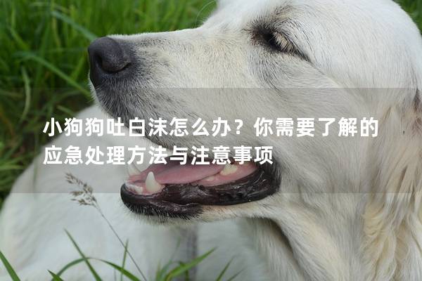 小狗狗吐白沫怎么辦？你需要了解的應急處理方法與注意事項