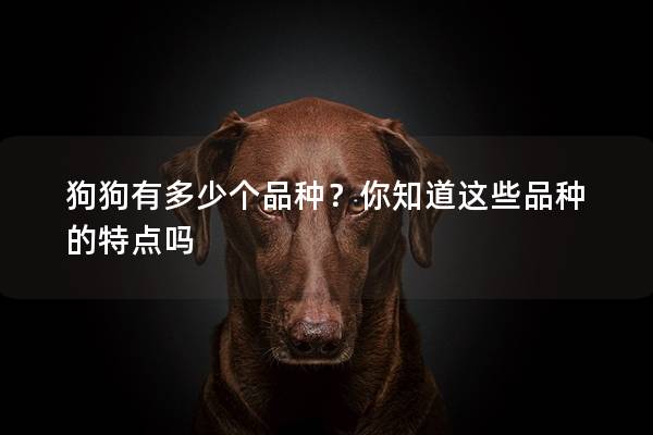 狗狗有多少個品種？你知道這些品種的特點嗎