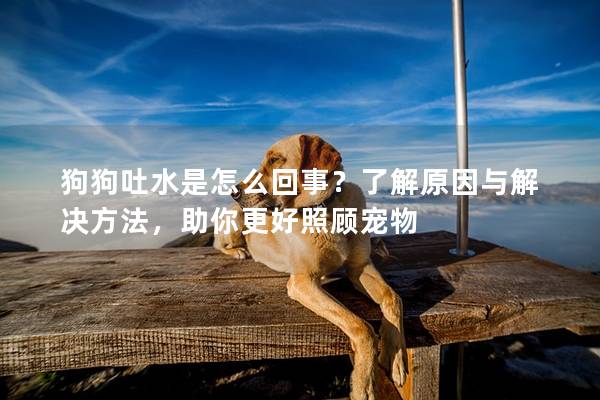 狗狗吐水是怎么回事？了解原因與解決方法，助你更好照顧寵物