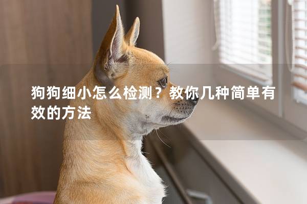 狗狗細小怎么檢測？教你幾種簡單有效的方法