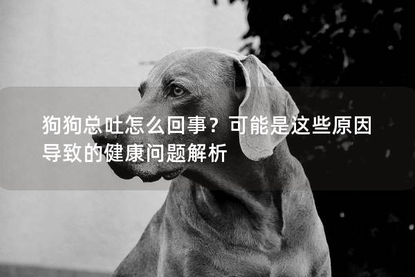 狗狗總吐怎么回事？可能是這些原因?qū)е碌慕】祮栴}解析