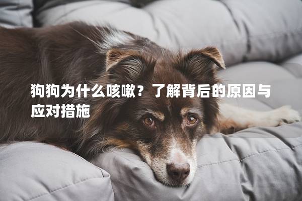 狗狗為什么咳嗽？了解背后的原因與應(yīng)對措施