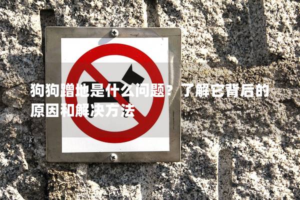 狗狗蹭地是什么問題？了解它背后的原因和解決方法