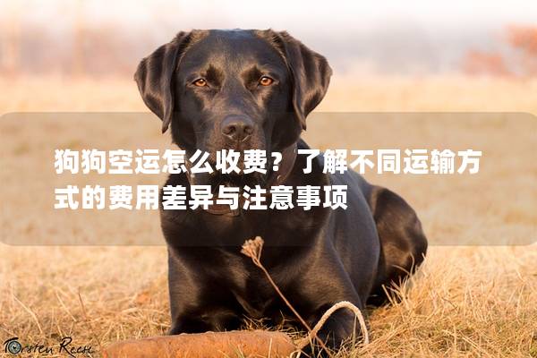 狗狗空運怎么收費?了解不同運輸方式的費用差異與注意事項 狗狗空運怎么收費?了解不同運輸方式的費用差異與注意事項