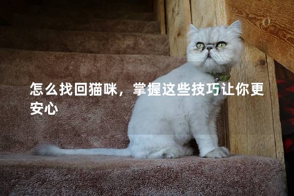 怎么找回貓咪,掌握這些技巧讓你更安心 怎么找回貓咪,掌握這些技巧讓你更安心