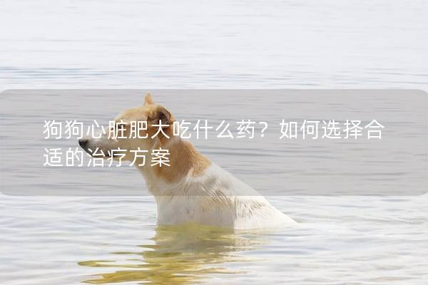 狗狗心臟肥大吃什么藥？如何選擇合適的治療方案