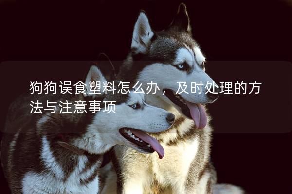 狗狗誤食塑料怎么辦，及時處理的方法與注意事項