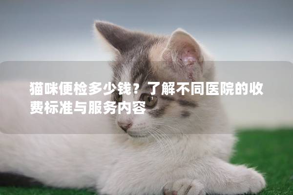 貓咪便檢多少錢？了解不同醫(yī)院的收費(fèi)標(biāo)準(zhǔn)與服務(wù)內(nèi)容