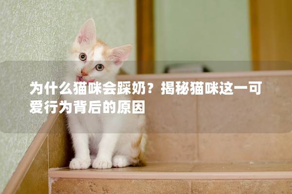 為什么貓咪會踩奶?揭秘貓咪這一可愛行為背后的原因 為什么貓咪會踩奶?揭秘貓咪這一可愛行為背后的原因