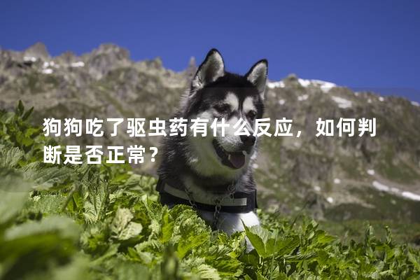 狗狗吃了驅蟲藥有什么反應，如何判斷是否正常？