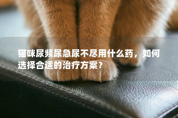 貓咪尿頻尿急尿不盡用什么藥，如何選擇合適的治療方案？