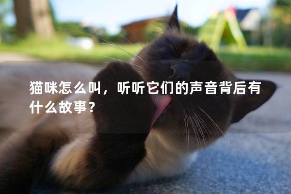 貓咪怎么叫,聽聽它們的聲音背后有什么故事? 貓咪怎么叫,聽聽它們的聲音背后有什么故事?