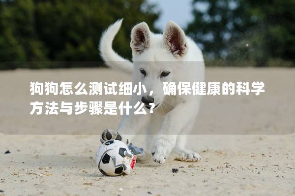 狗狗怎么測試細小，確保健康的科學方法與步驟是什么？