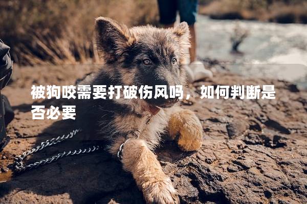 被狗咬需要打破傷風嗎，如何判斷是否必要