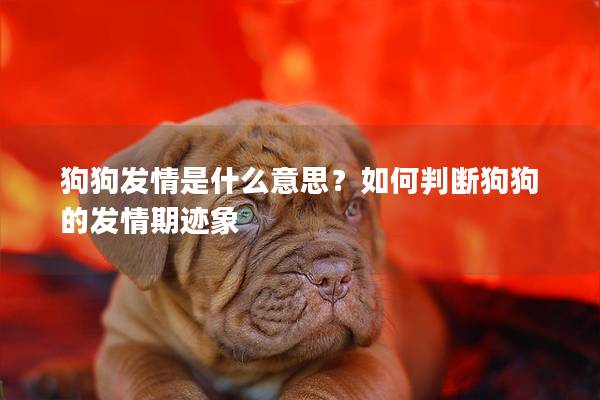 狗狗發(fā)情是什么意思？如何判斷狗狗的發(fā)情期跡象