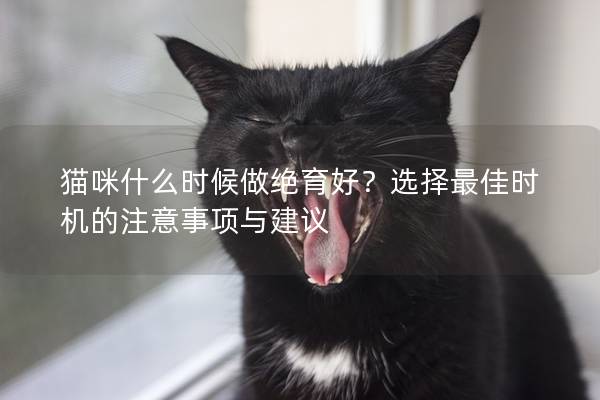 貓咪什么時候做絕育好？選擇最佳時機的注意事項與建議