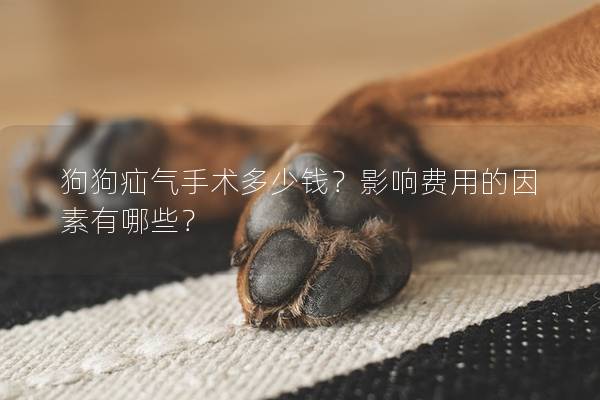 狗狗疝氣手術多少錢？影響費用的因素有哪些？