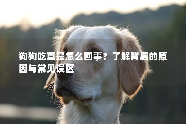 狗狗吃草是怎么回事？了解背后的原因與常見誤區