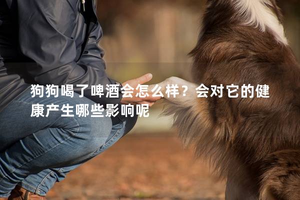 狗狗喝了啤酒會怎么樣？會對它的健康產(chǎn)生哪些影響呢