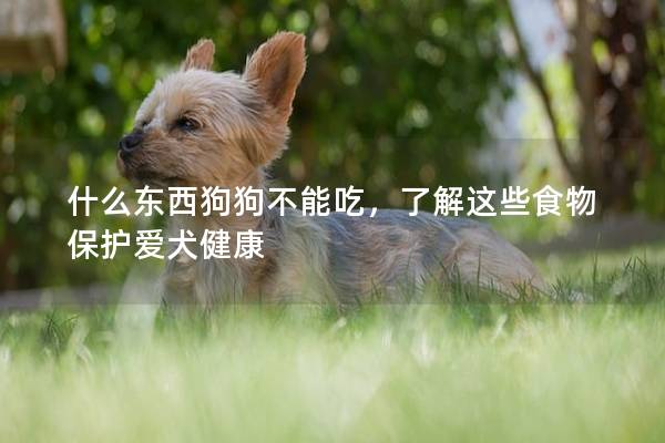 什么東西狗狗不能吃，了解這些食物保護愛犬健康