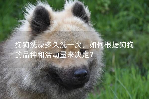 狗狗洗澡多久洗一次，如何根據狗狗的品種和活動量來決定？