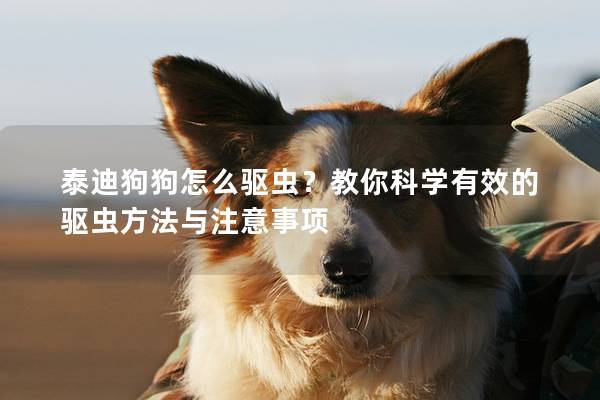 泰迪狗狗怎么驅(qū)蟲？教你科學(xué)有效的驅(qū)蟲方法與注意事項