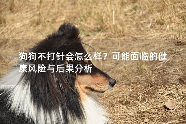 狗狗不打針會怎么樣？可能面臨的健康風險與后果分析