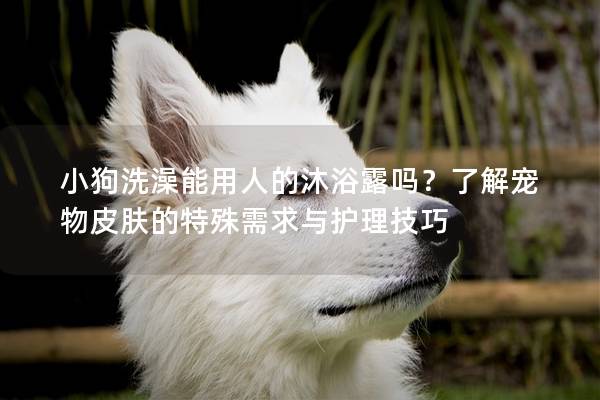 小狗洗澡能用人的沐浴露嗎？了解寵物皮膚的特殊需求與護(hù)理技巧