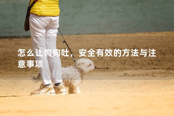 怎么讓狗狗吐，安全有效的方法與注意事項(xiàng)