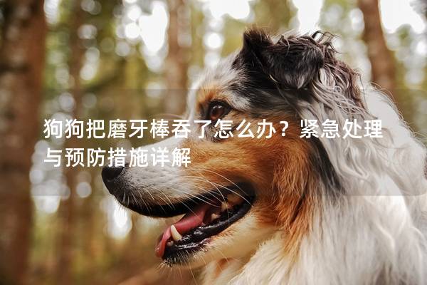 狗狗把磨牙棒吞了怎么辦？緊急處理與預防措施詳解