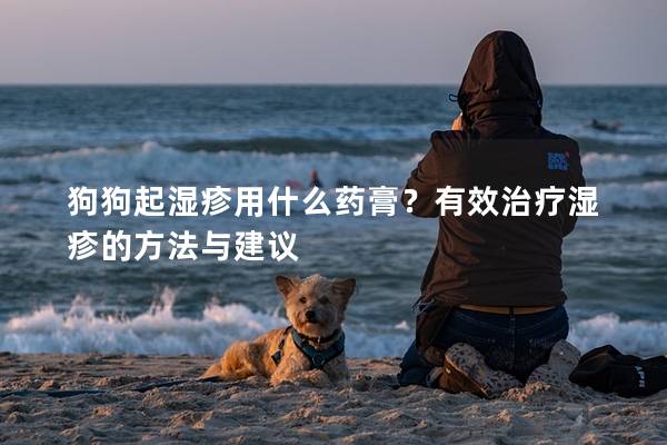 狗狗起濕疹用什么藥膏？有效治療濕疹的方法與建議