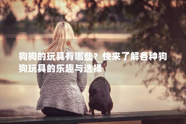 狗狗的玩具有哪些？快來了解各種狗狗玩具的樂趣與選擇