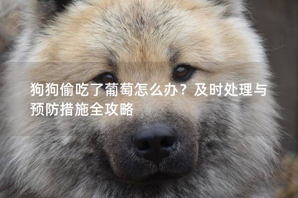 狗狗偷吃了葡萄怎么辦？及時處理與預防措施全攻略