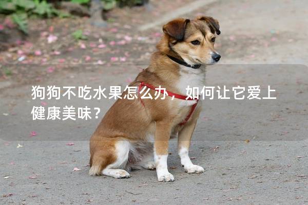 狗狗不吃水果怎么辦，如何讓它愛上健康美味？
