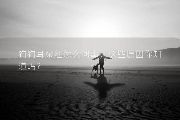 狗狗耳朵紅怎么回事，這些原因你知道嗎？
