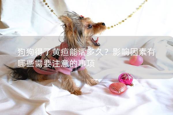 狗狗得了黃疸能活多久?影響因素有哪些需要注意的事項 狗狗得了黃疸能活多久?影響因素有哪些需要注意的事項