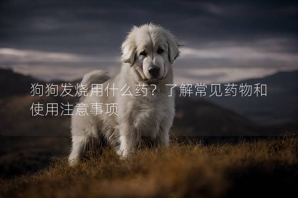 狗狗發燒用什么藥？了解常見藥物和使用注意事項